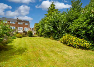 REAR GARDEN- click for photo gallery